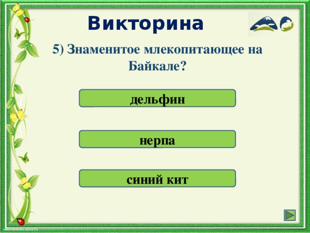 Викторина 5) Знаменитое млекопитающее на Байкале? дельфин нерпа синий кит