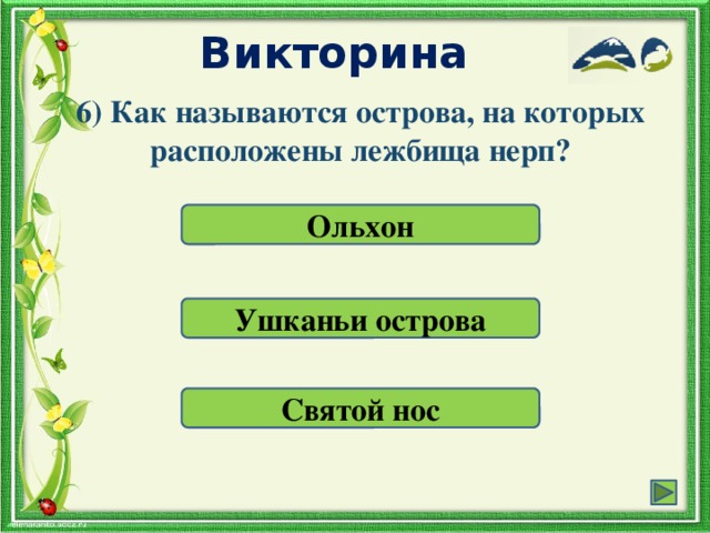 Викторина 6) Как называются острова, на которых расположены лежбища нерп? Ольхон Ушканьи острова Святой нос