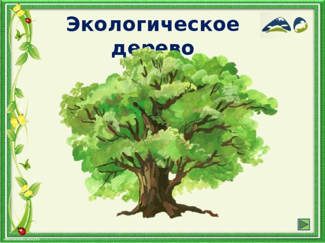 Экологическое дерево
