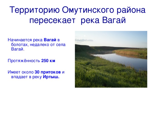 Погода вагай омутинский. Река Вагай Тюменская область Омутинский район. Омутинский заказник. Река Вагай. Река Омутинский район.