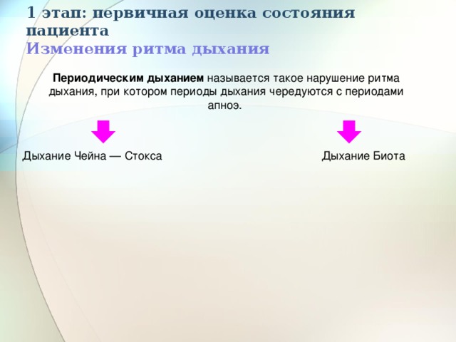 Периоды дыхания. Первичная оценка пациента. Изменение ритма дыхания. Оценка ритма дыхания. При каких состояниях изменяется частота и ритм дыхания.