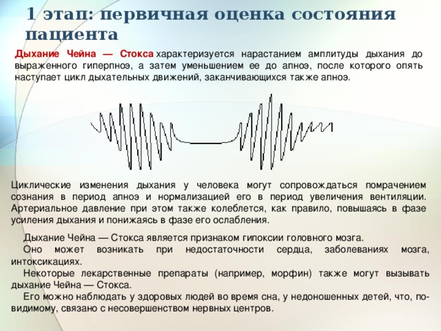 Периоды дыхания. Патологические типы дыхания. Дыхание Чейна Стокса. Дыхание Чейна-Стокса причины. Механизм развития дыхания Чейна Стокса.