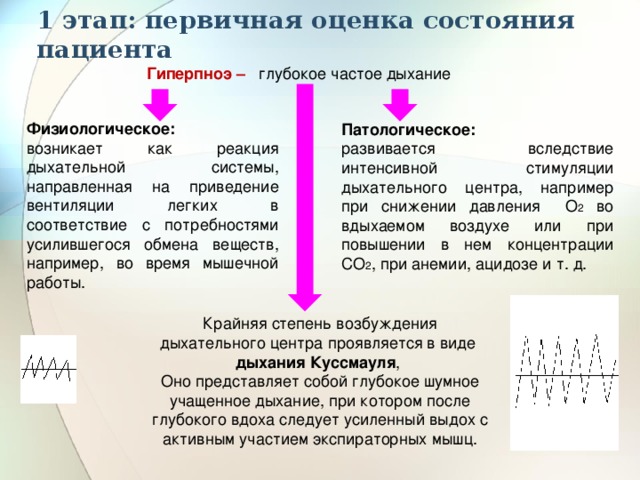 Глубже чаще. Оценка состояния дыхания. Оценка состояния дыхательной системы. Проведение первичной оценки пациента. Оценка состояния дыхания у пациентов терапевтического профиля.