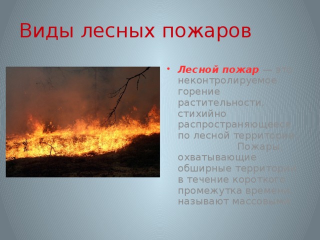 Типы лесных пожаров. Виды лесных пожаров. Лесной пожар это неконтролируемое горение. Лесные пожары способы защиты. Пожаром называют неконтролируемое горение.