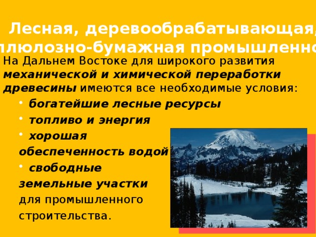 Лесная, деревообрабатывающая, целлюлозно-бумажная промышленность. На Дальнем Востоке для широкого развития механической и химической переработки древесины имеются все необходимые условия: богатейшие лесные ресурсы топливо и энергия хорошая богатейшие лесные ресурсы топливо и энергия хорошая обеспеченность водой свободные свободные земельные участки  для промышленного строительства. 