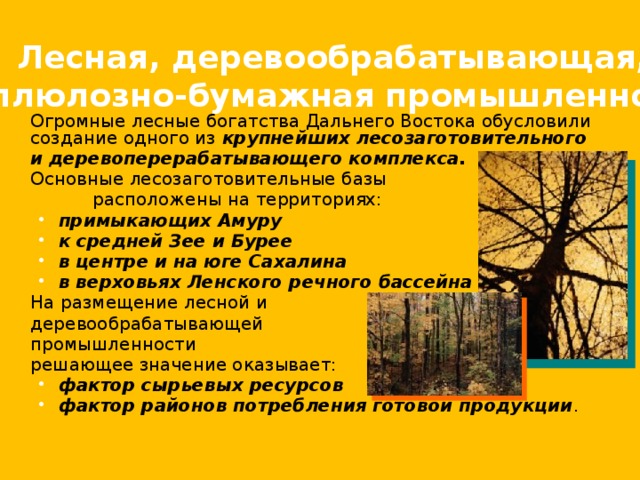 Лесная, деревообрабатывающая, целлюлозно-бумажная промышленность.  Огромные лесные богатства Дальнего Востока обусловили создание одного из крупнейших лесозаготовительного  и деревоперерабатывающего комплекса.  Основные лесозаготовительные базы   расположены на территориях: примыкающих Амуру к средней Зее и Бурее в центре и на юге Сахалина в верховьях Ленского речного бассейна  примыкающих Амуру к средней Зее и Бурее в центре и на юге Сахалина в верховьях Ленского речного бассейна   На размещение лесной и  деревообрабатывающей  промышленности  решающее значение оказывает: фактор сырьевых ресурсов фактор районов потребления готовой продукции .  фактор сырьевых ресурсов фактор районов потребления готовой продукции .  