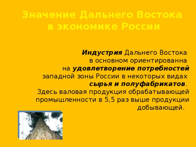 Значение дальнего востока в экономике россии презентация