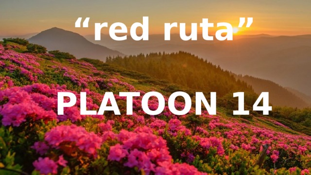 “ red ruta”  PLATOON 14 