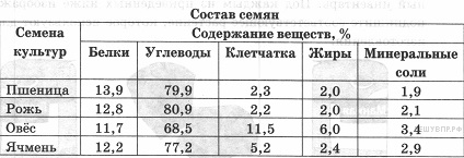 Количество жиров содержится в семенах. Состав семян. Химический состав семян. Состав семян растений. Состав семян таблица.