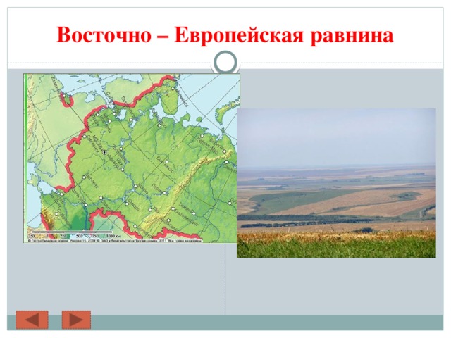 Какая высота восточно европейской равнины. Равнины Восточно европейской равнины. Восточно-европейская равнина на карте России.