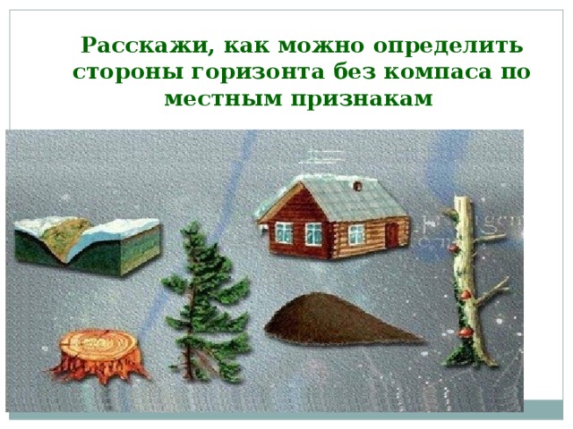 По каким природным признакам можно определить стороны горизонта рисунки для 2 класса окружающий мир