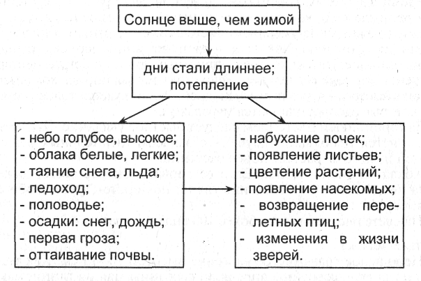 Как связаны явления живой и неживой природы. Связь весенних явлений в живой и неживой природе модель. Модель взаимосвязи весенних явлений в живой и неживой природе. Взаимосвязь весенних явлений в живой и неживой природе. Весенние явления в живой и неживой природе.