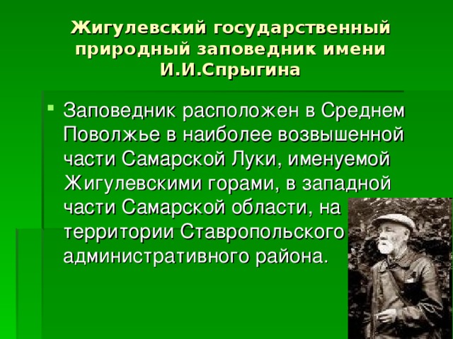 Жигулевский заповедник презентация