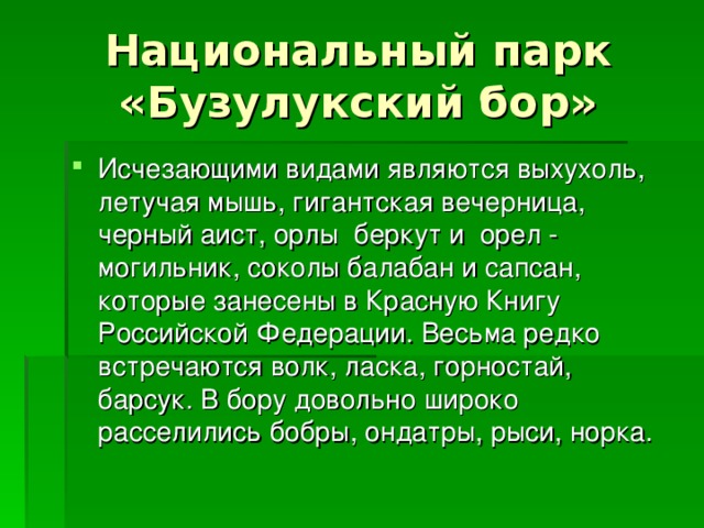 Проект бузулукский бор