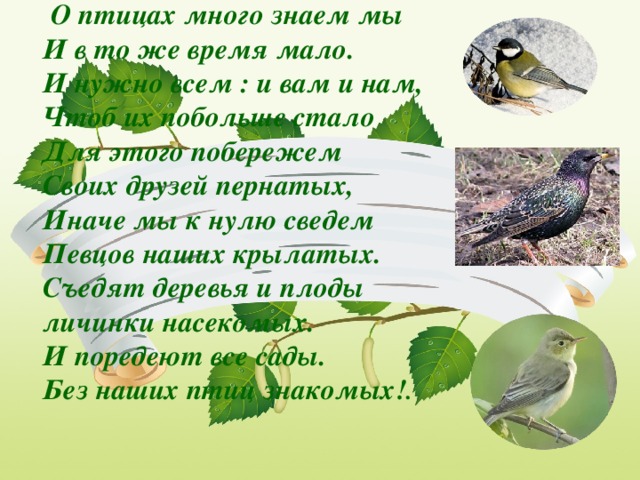 Стихи о птицах весной. Стих о птицах много знаем мы. О птицах много знаем мы и в тоже время мало стих. Евдошенко берегите птиц. Евдошенко берегите птиц стих.