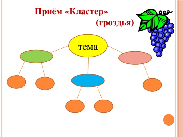 Заполни кластер с помощью рисунков и текста сообщения бобовые