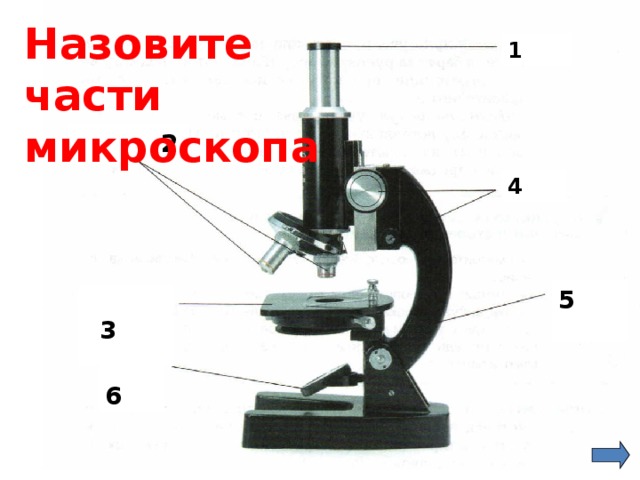 Части микроскопа 5. Назовите части микроскопа. Назовите все части микроскопа. Как называются части микроскопа. Как называютсячасти микроскопп.