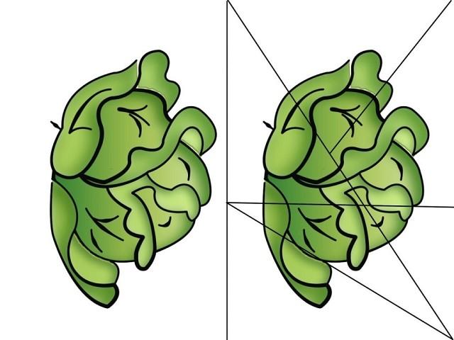 Разрезные картинки овощи 1