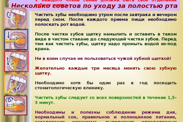 Как надо чистить. Когда утром чистить зубы до завтрака или после. Как правильно чистить зубы до еды или после еды. Как правильно чистить зубы до еды или после. Как правильно чистить зубы утром до еды или после еды.