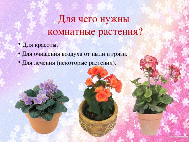 https://fsd.multiurok.ru/html/2017/04/03/s_58e253996036b/img1.jpg