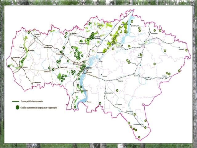 Проект особо охраняемые территории саратовской области