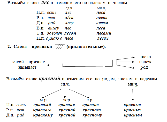 Схема слова лес