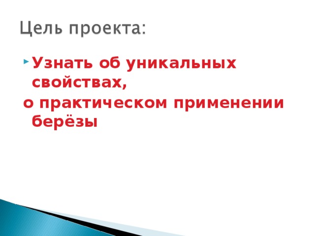Узнать об уникальных свойствах, о практическом применении берёзы 