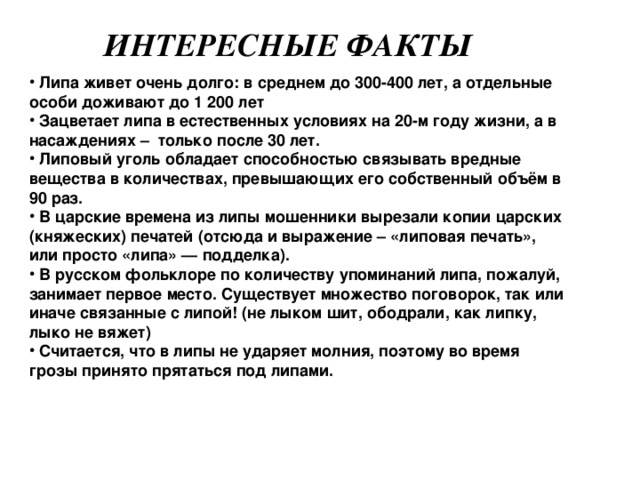 «Дерево счастья» У всех славянских народов липа почиталась как святое растение и считалась  оберегом . Говорят, хорошо, если липа растёт около дома: это приносит в дом спокойствие и счастье.    