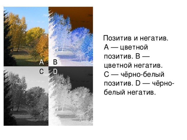  Позитив и негатив. A — цветной позитив. B — цветной негатив. C — чёрно-белый позитив. D — чёрно-белый негатив. 