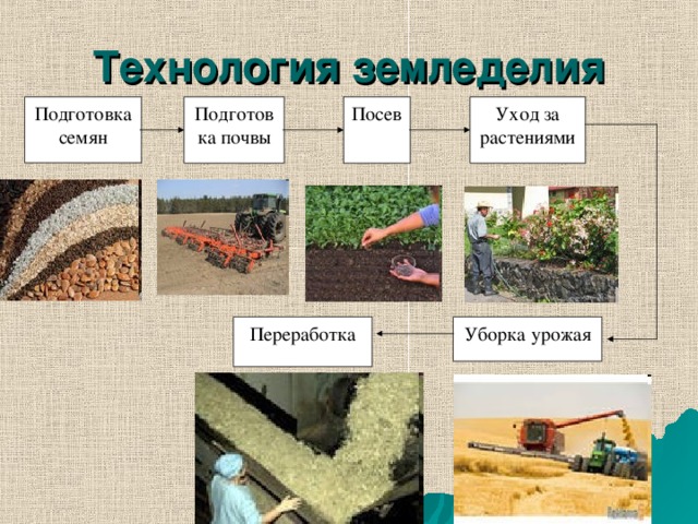 Технология земледелия Подготовка почвы Посев Уход за растениями Подготовка семян Переработка Уборка урожая 