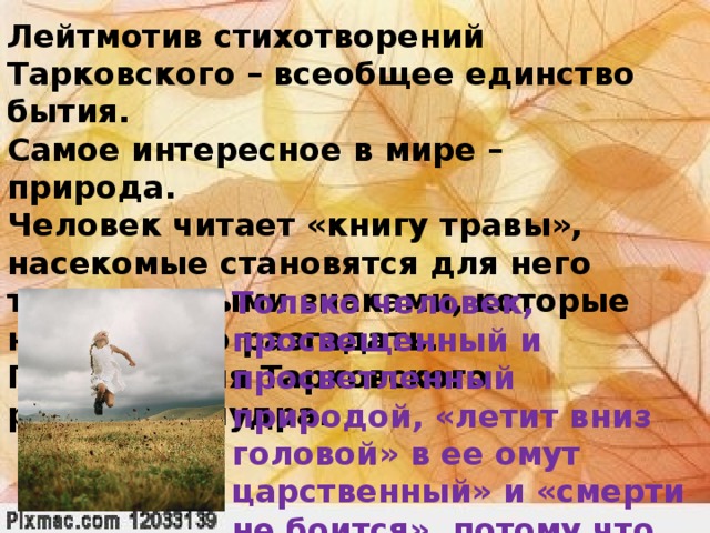 Лейтмотив это