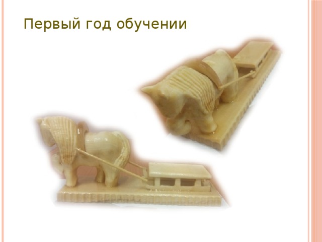 Первый год обучении 