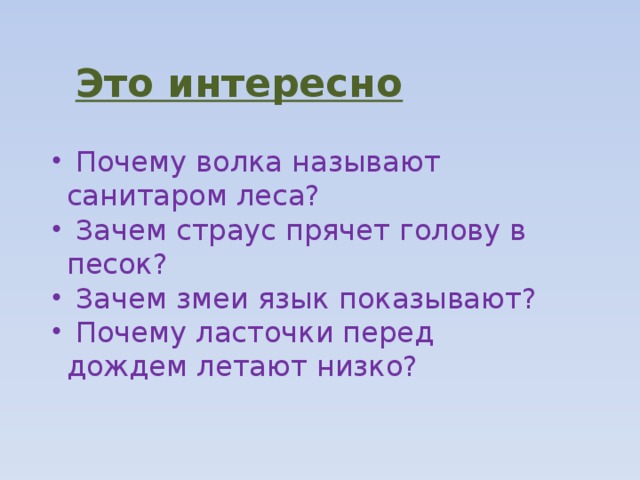 Это интересно  Почему волка называют санитаром леса?  Зачем страус прячет голову в песок?  Зачем змеи язык показывают?  Почему ласточки перед дождем летают низко? 