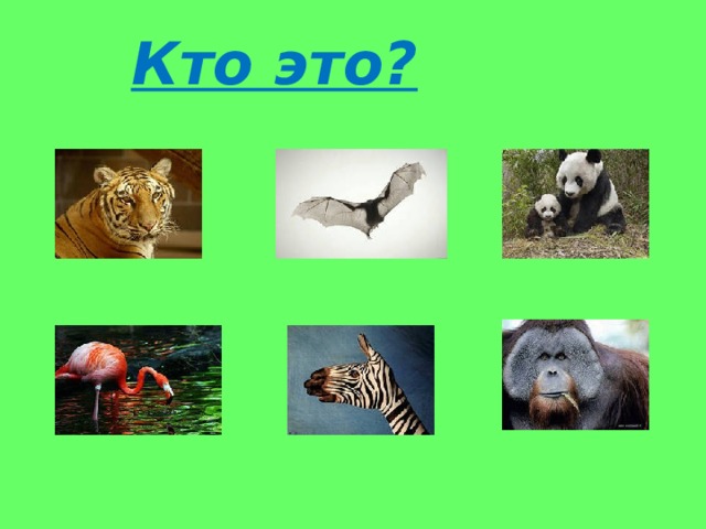 Кто это? 