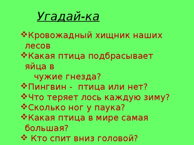 Угадай-ка Кровожадный хищник наших лесов Какая птица подбрасывает яйца в  чужие гнезда? Пингвин - птица или нет? Что теряет лось каждую зиму? Сколько ног у паука? Какая птица в мире самая большая?  Кто спит вниз головой? 