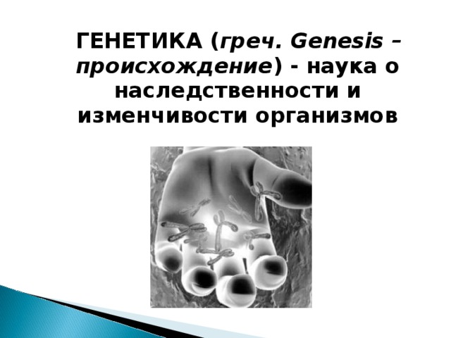  ГЕНЕТИКА ( греч. Genesis – происхождение ) - наука о наследственности и изменчивости организмов 