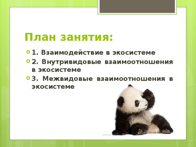 Презентация на тему межвидовые отношения организмов в экосистеме 9 класс