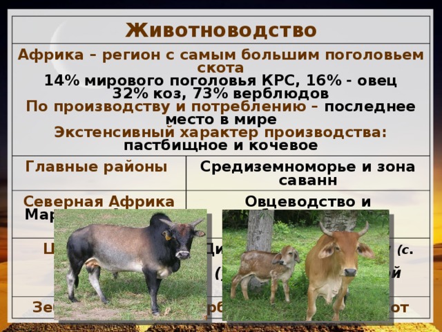 Презентация хозяйство африки 11 класс география