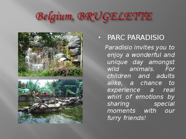 PARC PARADISIO   Paradisio invites you to enjoy a wonderful and unique day amongst wild animals. For children and adults alike, a chance to experience a real whirl of emotions by sharing special moments with our furry friends! 