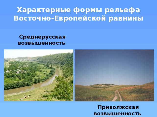 Приволжская возвышенность презентация