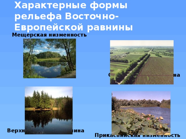 Презентация по географии восточно европейская равнина