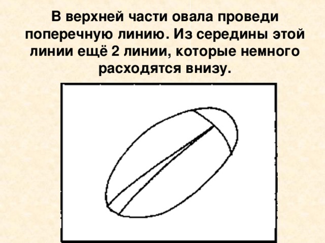 В верхней части овала проведи поперечную линию. Из середины этой линии ещё 2 линии, которые немного расходятся внизу. 