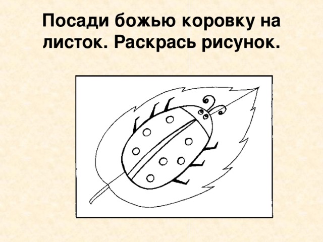 Посади божью коровку на листок. Раскрась рисунок. 