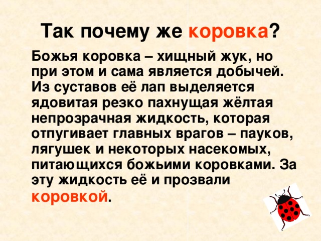 Так почему же коровка ?  Божья коровка – хищный жук, но при этом и сама является добычей. Из суставов её лап выделяется ядовитая резко пахнущая жёлтая непрозрачная жидкость, которая отпугивает главных врагов – пауков, лягушек и некоторых насекомых, питающихся божьими коровками. За эту жидкость её и прозвали коровкой . 