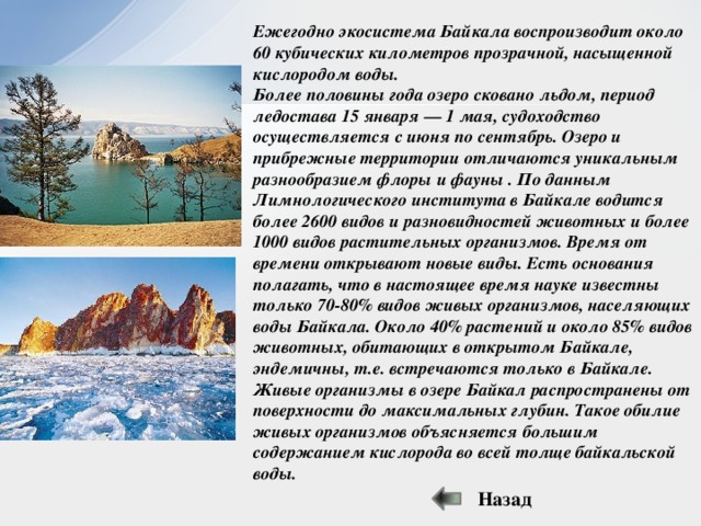Озеро байкал экосистема презентация - 87 фото