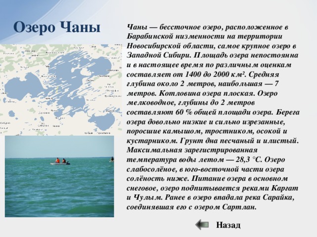 Чаны котловина. Озеро Чаны озёра Новосибирской области. Озеро Чаны описание. Происхождение Озерной котловины Чаны. Происхождение Озерной котловины озера Чаны.