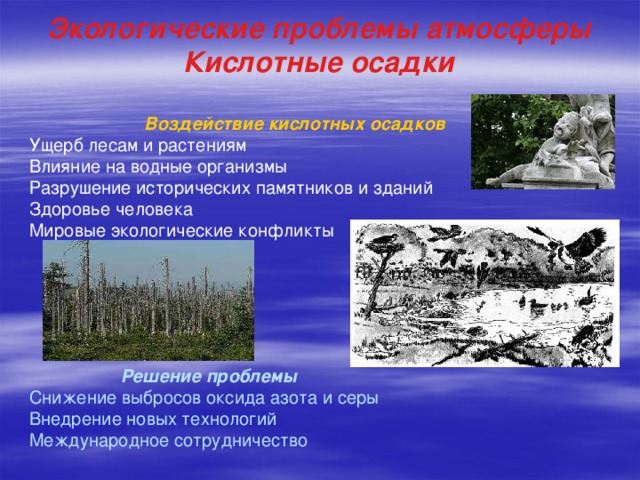 Презентация на тему влияние кислотных дождей на окружающую среду