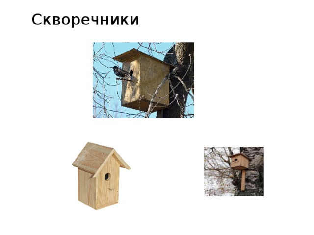 Вывод проекта скворечник