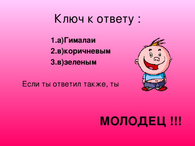 РАВНИНЫ   по характеру рельефа бывают:  Плоские   Холмистые 