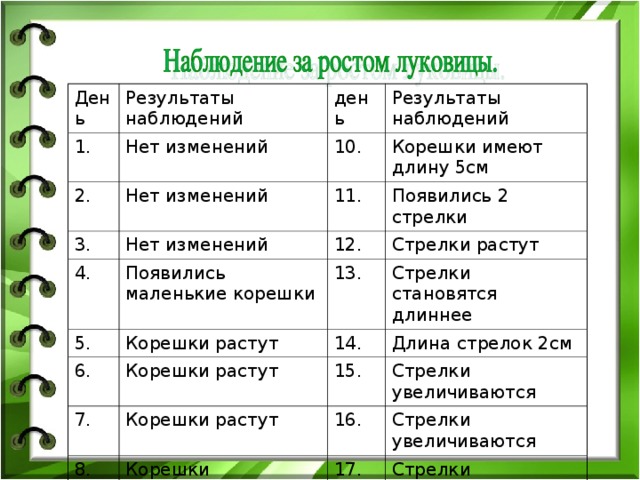 Иллюстрация 5 из 6 для Школа природы: Наблюдения - Ольга Шапина Лабиринт - книги